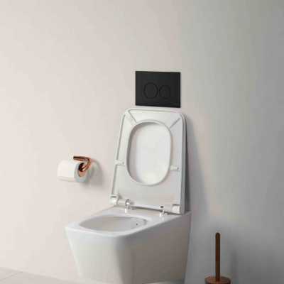 EQUAL-Toilet-seat-Eczacıbaşı-Building-414286-rel625dd5e7.jpg